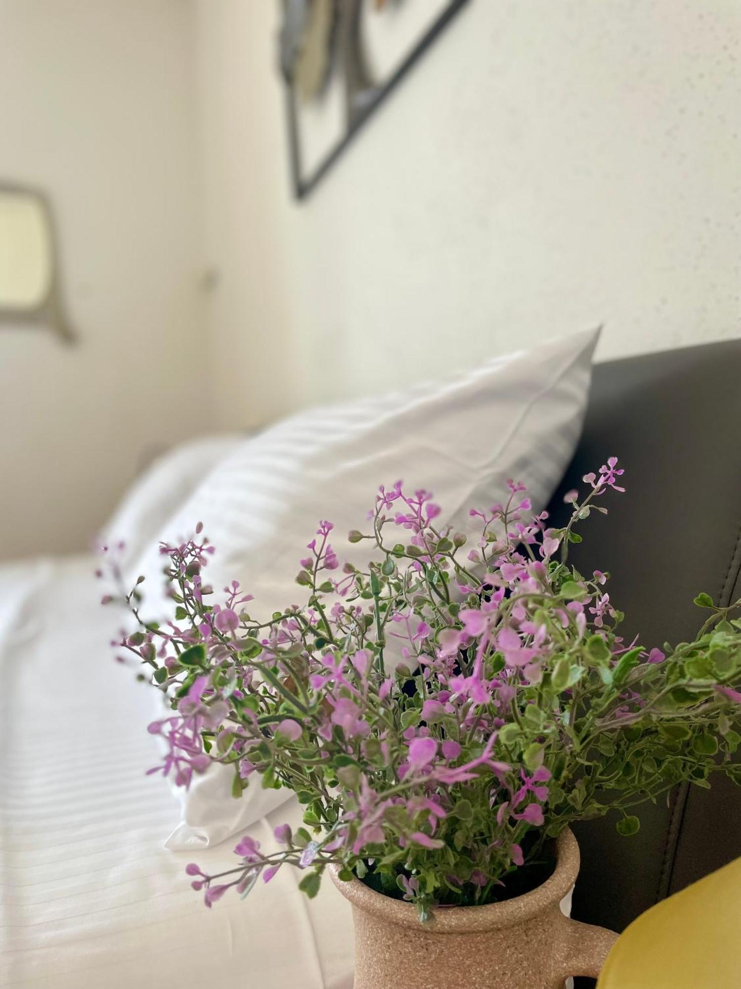 Dinka Old Town Apartment With Sea View 特罗吉尔 外观 照片